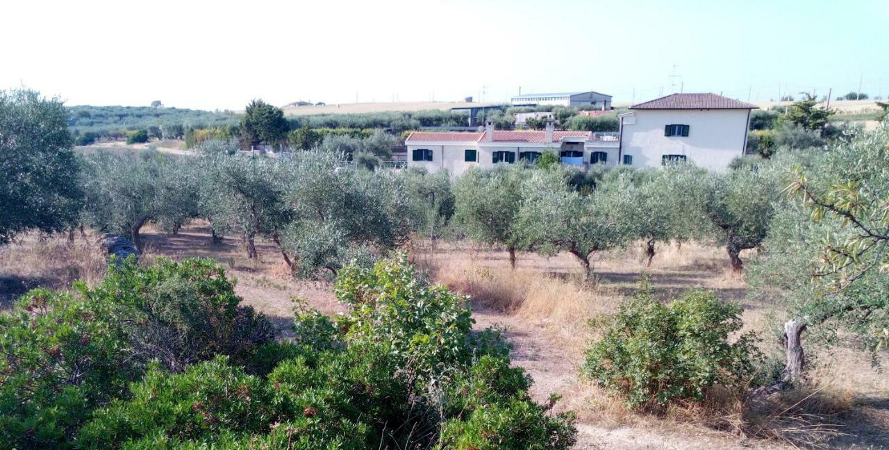 Dimore All'Ofra Matera Eksteriør billede